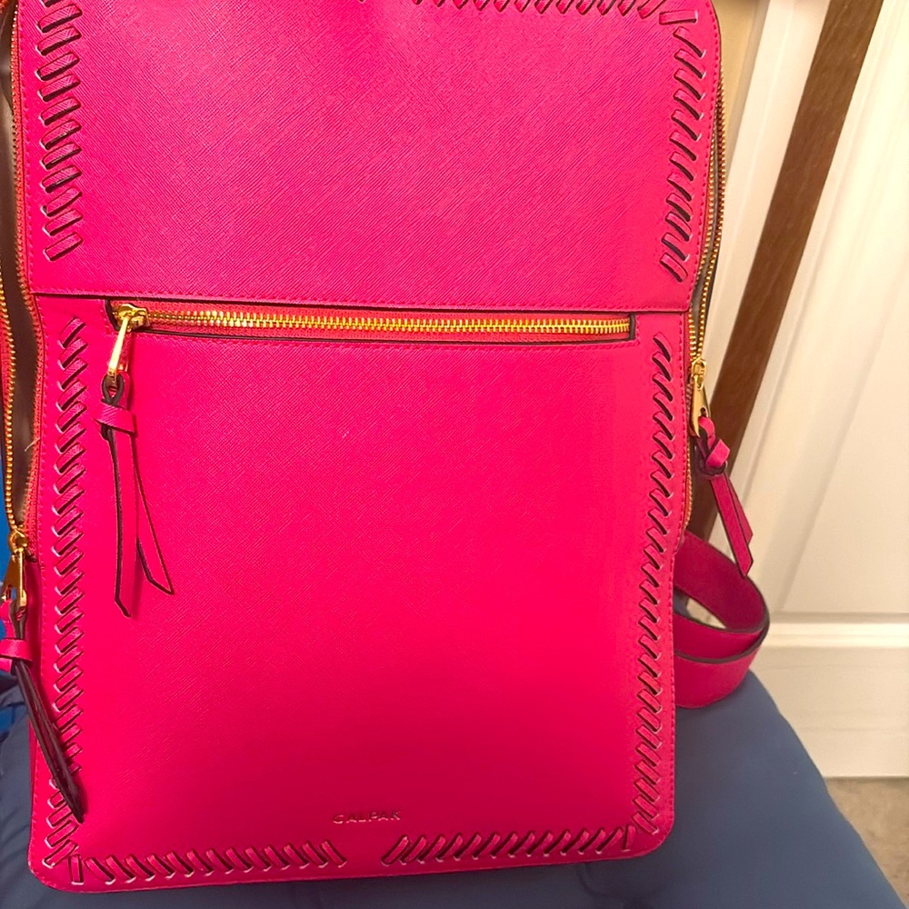 CALPAK backpack